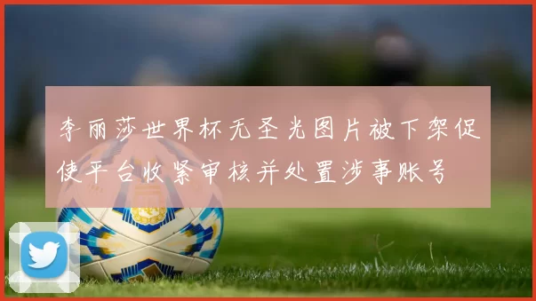 李丽莎世界杯无圣光图片被下架促使平台收紧审核并处置涉事账号