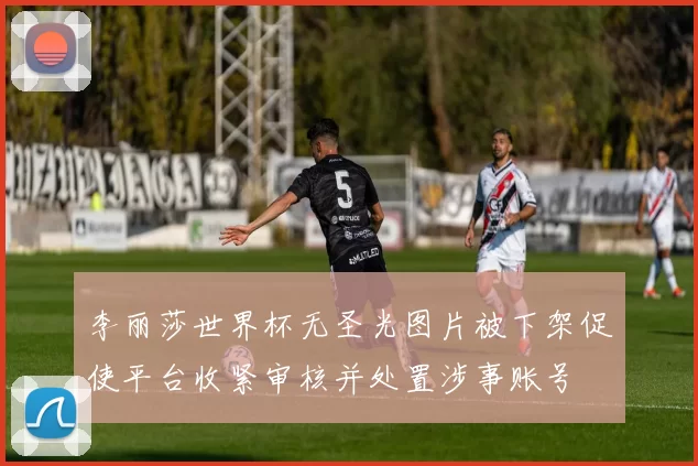 李丽莎世界杯无圣光图片被下架促使平台收紧审核并处置涉事账号