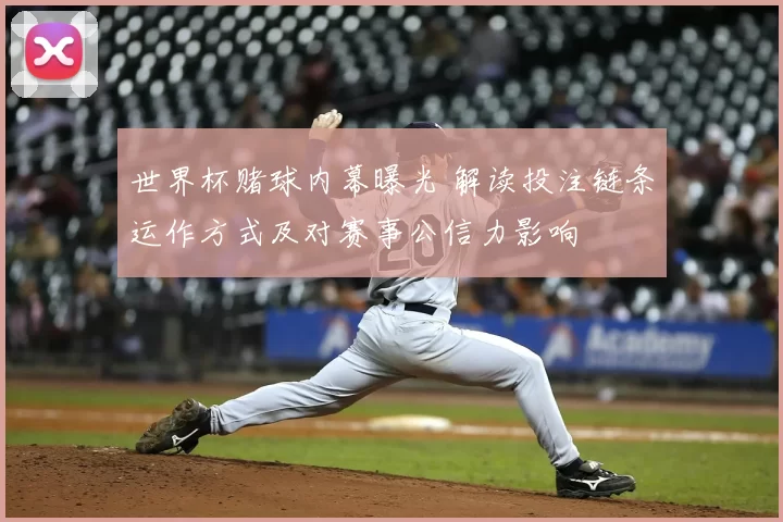 世界杯赌球内幕曝光 解读投注链条运作方式及对赛事公信力影响