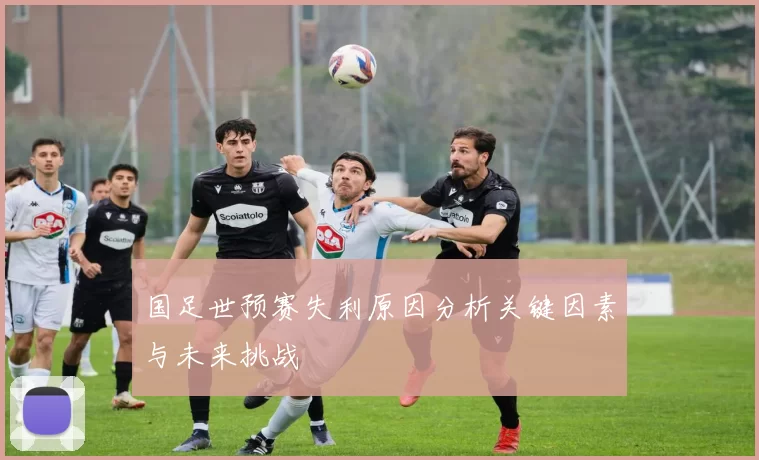 国足世预赛失利原因分析关键因素与未来挑战